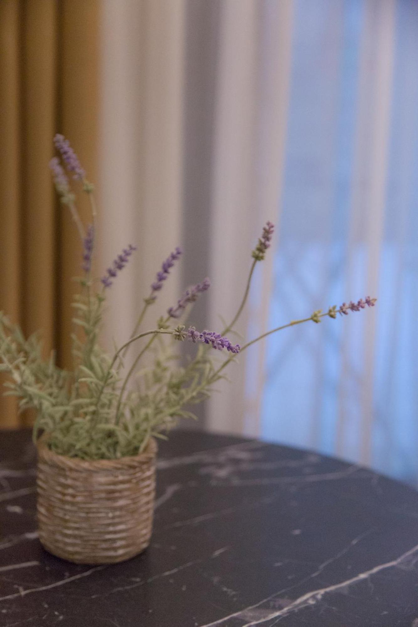 Anasa Studio - Studio Apartment With Yard - Ioannina City Center Εξωτερικό φωτογραφία